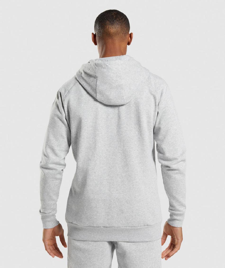 Sudadera Con Capucha Gymshark Crest Zip Up Hombre Gris Claro | CO 3600MQZ